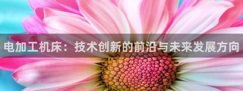 乐发lx平台