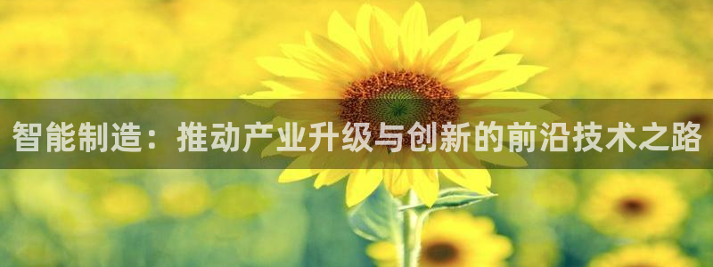 乐发平台注册资金多少钱