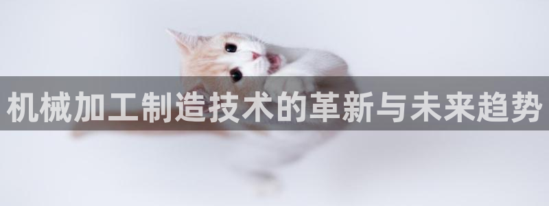 乐发旗下的平台有多少个