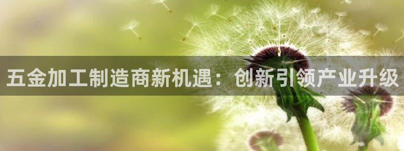 发乐发彩票平台注册码