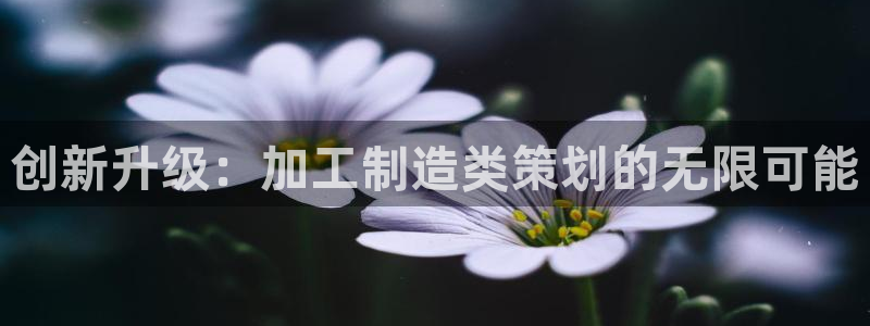 必乐2平台发