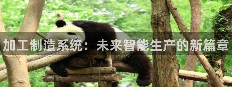 乐发平台怎么样知乎