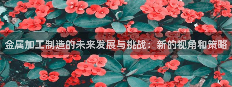 发发乐游戏平台