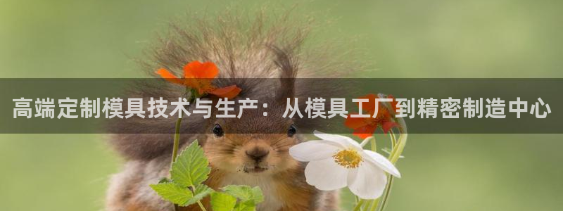 乐发区批发采购平台