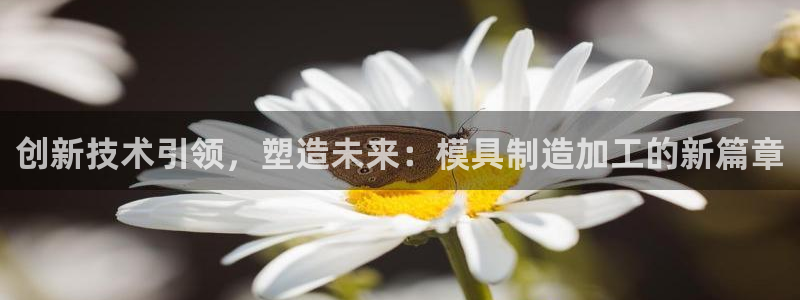 乐发 lll平台