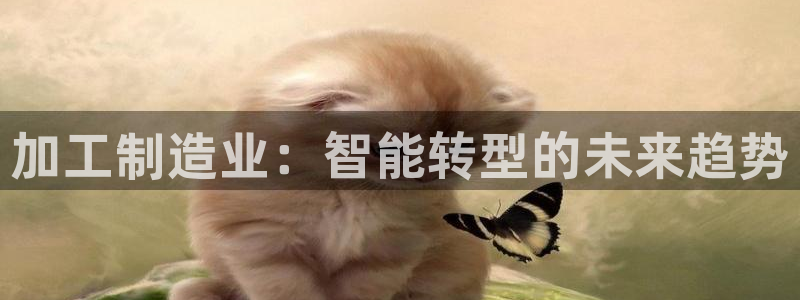 乐发平台邀请码是多少啊