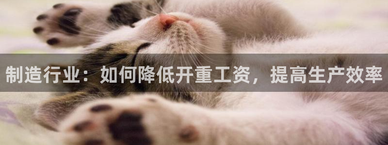 乐发平台是什么样的