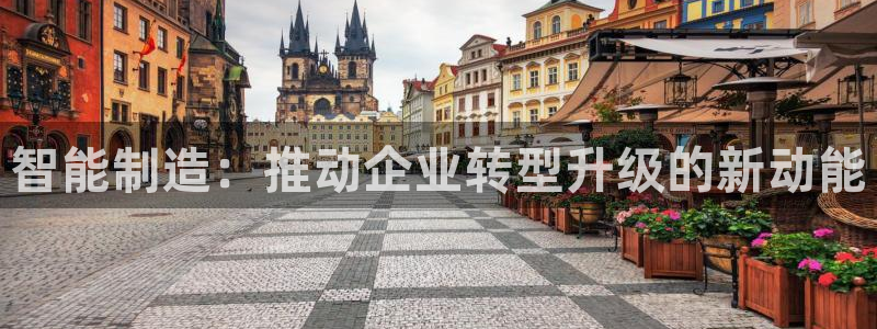 乐发体育平台官网下载