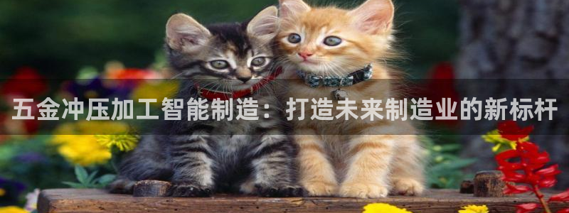 乐发彩票平台怎么样啊