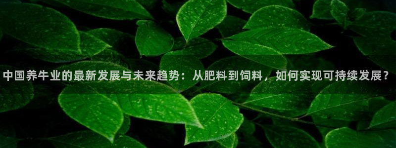 乐发茶楼团购平台官网