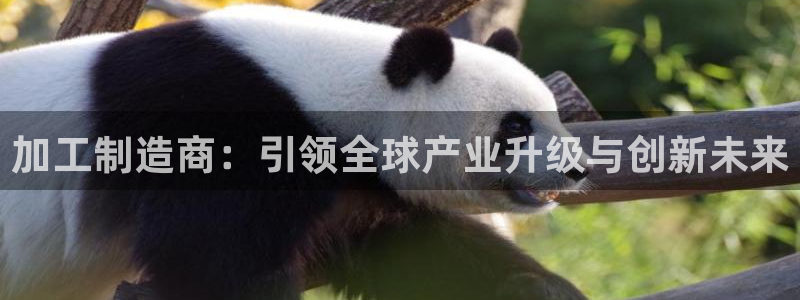 乐发彩票平台网址是什么