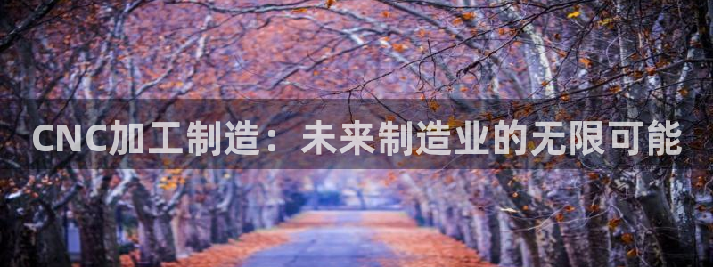 乐发平台注册