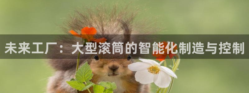 乐发4购彩平台