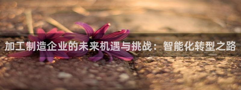 乐发娱乐平台