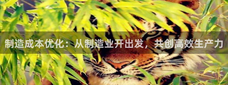 乐发第一娱乐平台邀请码
