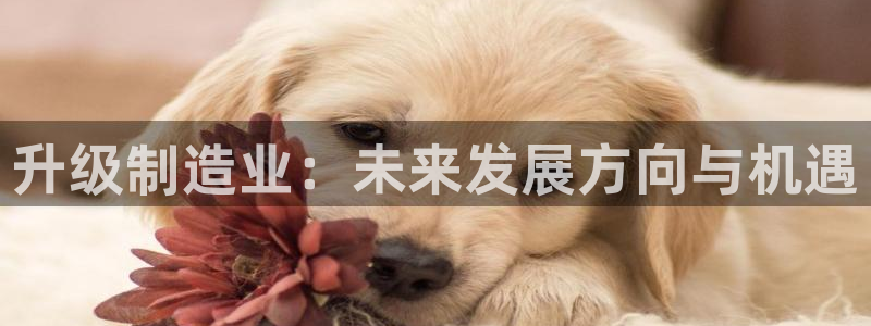 乐发传媒平台放单