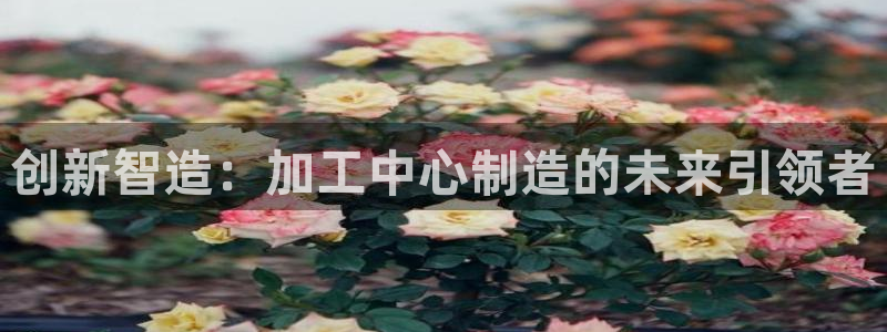 必发误乐黑平台