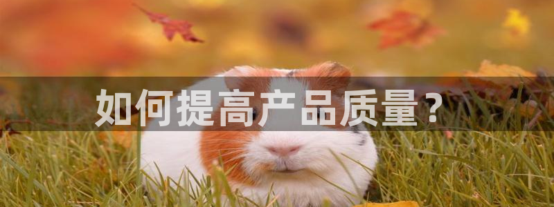 乐发平台多久了