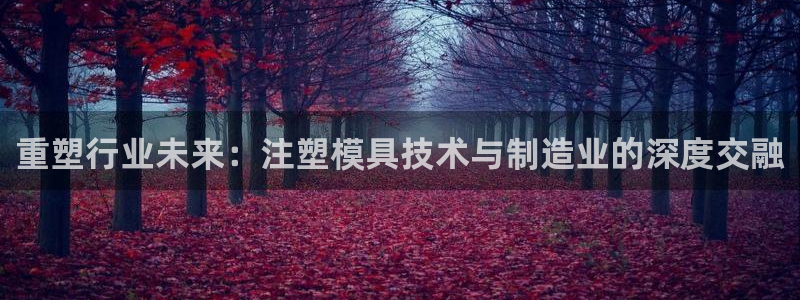 类似乐发传媒的平台