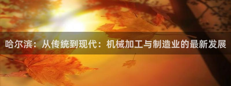 乐贷公告是什么平台发的