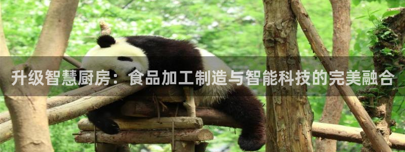 乐发lv这个平台怎么样