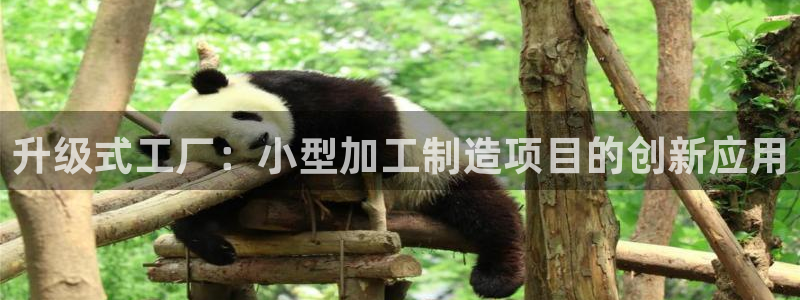 彩票乐发III购彩平台