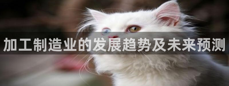 乐发传媒平台是查封了吗