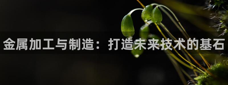 乐赚发圈平台有风险嘛