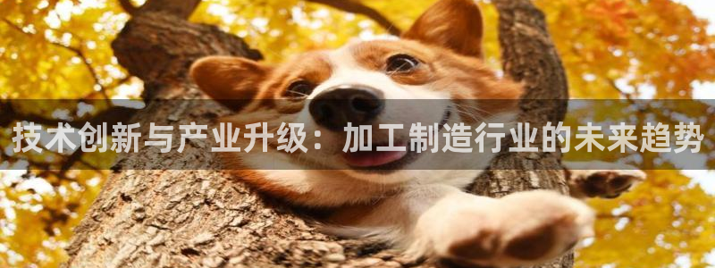 乐发快三彩票平台