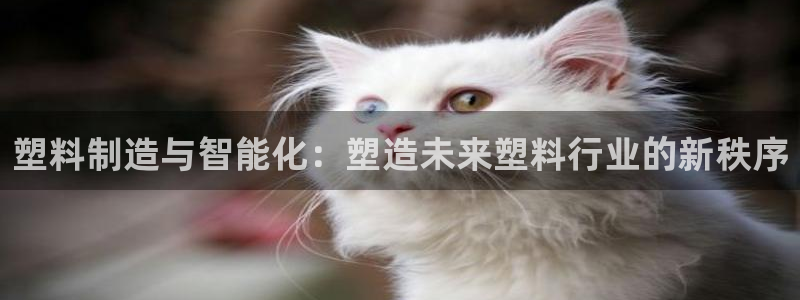 乐发彩票平台玩能赚钱吗