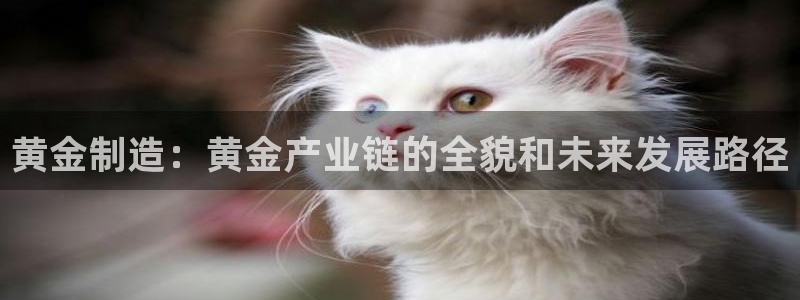 乐发平台app可靠吗