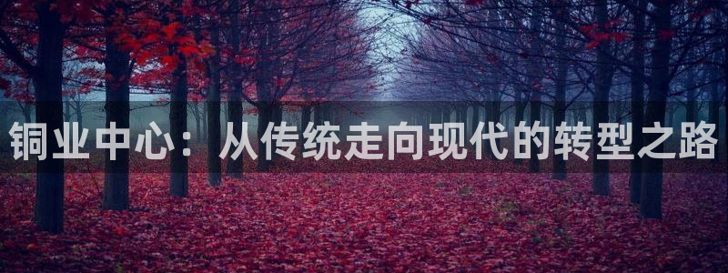 乐发乐发平台邀请码