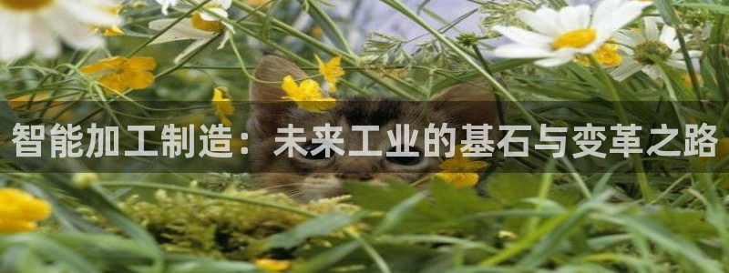 快3平台 官网下载乐发