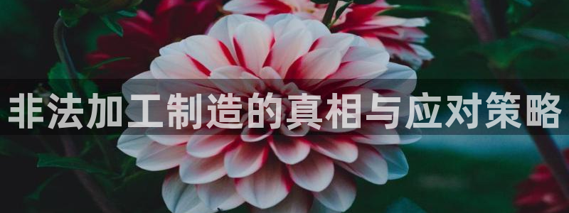 乐发平台怎么样知乎赚钱