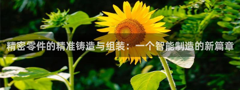 乐发平台靠谱吗