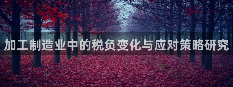 乐发111彩票平台下载