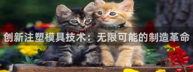 乐发彩票平台下载