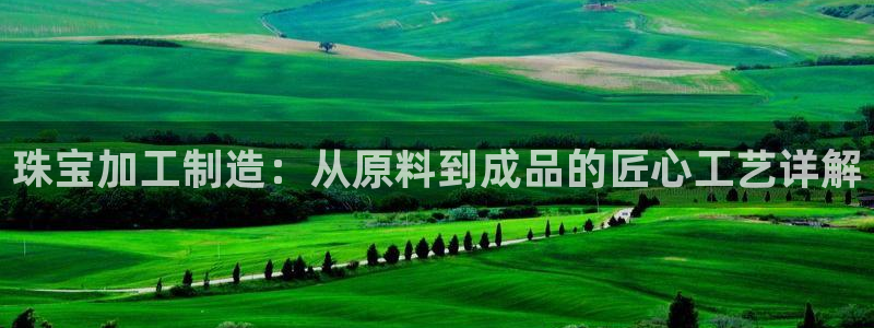 乐发彩票平台网址查询