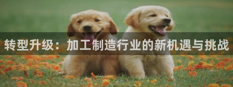 乐发彩票最新平台官网