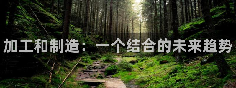 乐发彩票平台正规不