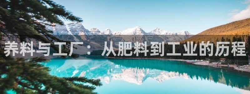 乐发彩票平台正式版下载