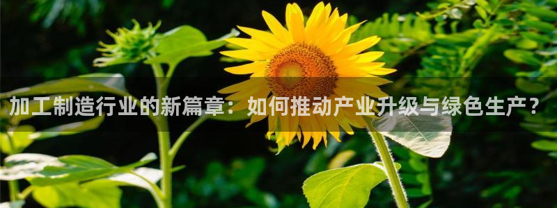 乐发邀请码平台是什么