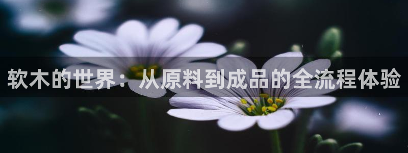 乐发彩票是黑平台吗