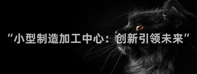 乐发彩票平台wx17 com