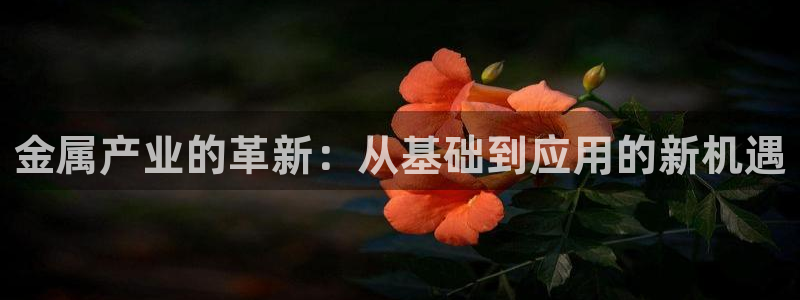 乐发传媒平台是查封了吗